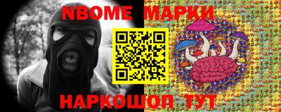 apvp Можга