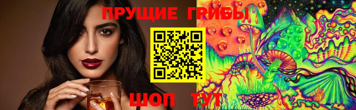 Самара  Галлюциногенные грибы GOLDEN TEACHER  Галлюциногенные грибы Psilocybe  Вход с VPN 